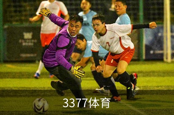 3377体育介绍